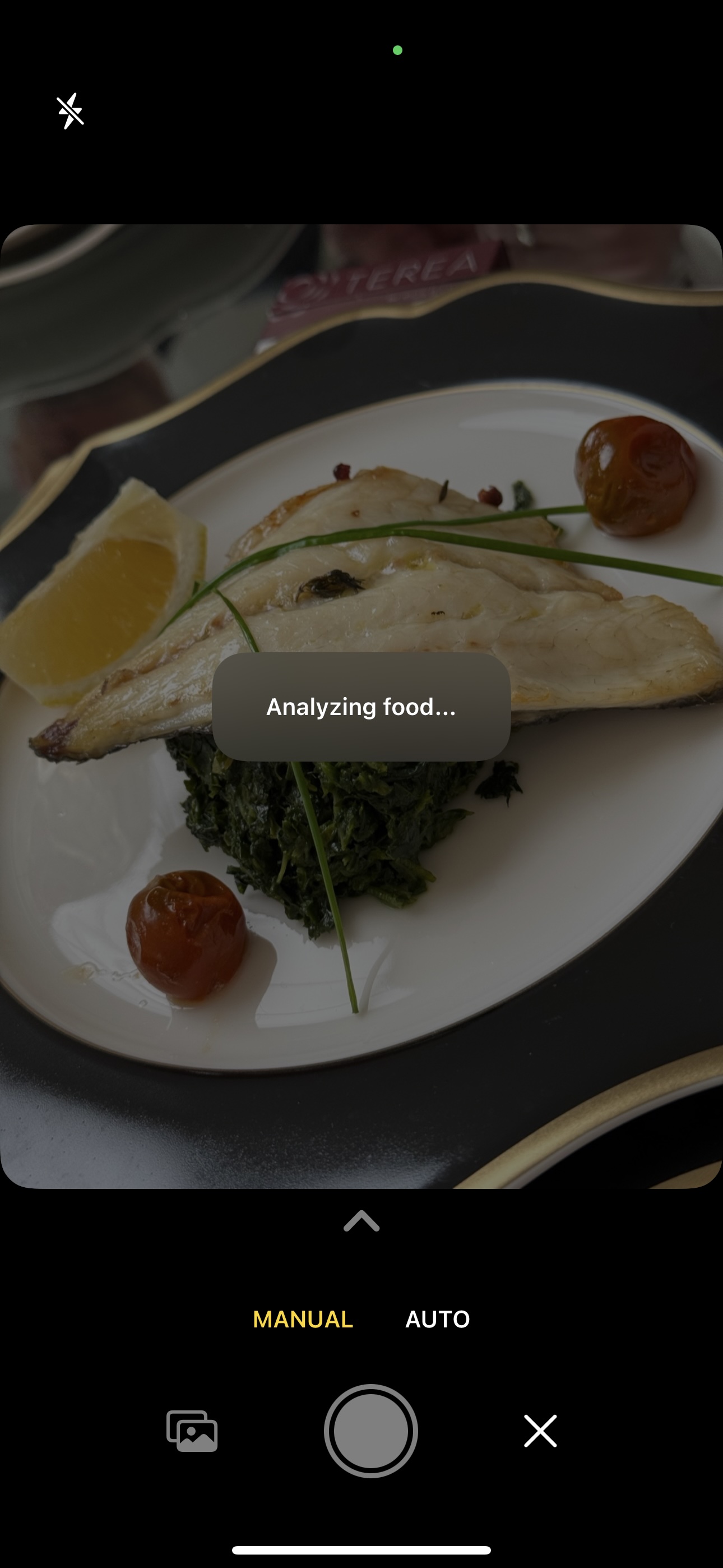 Taking photo of soup